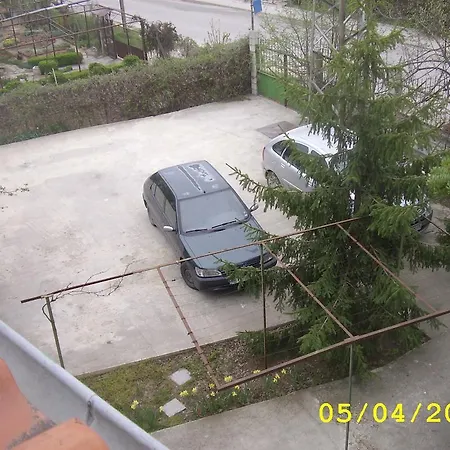 Guest Slona Varna